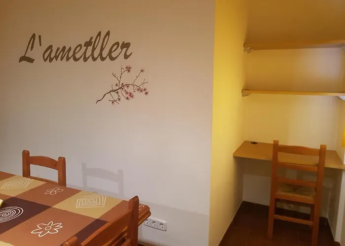 Panxeta Pallaresos