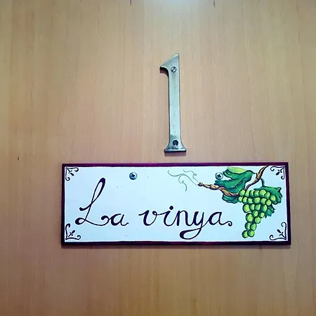Panxeta