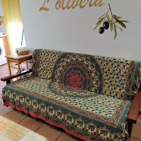 Panxeta
