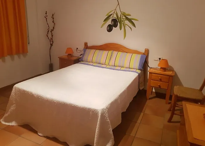 Panxeta 게스트하우스 4*