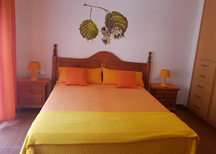 Panxeta Pallaresos